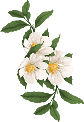 Decorative flower