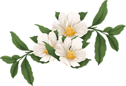 Flower decoration