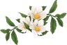 Flower decoration
