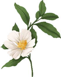 Decorative flowers
